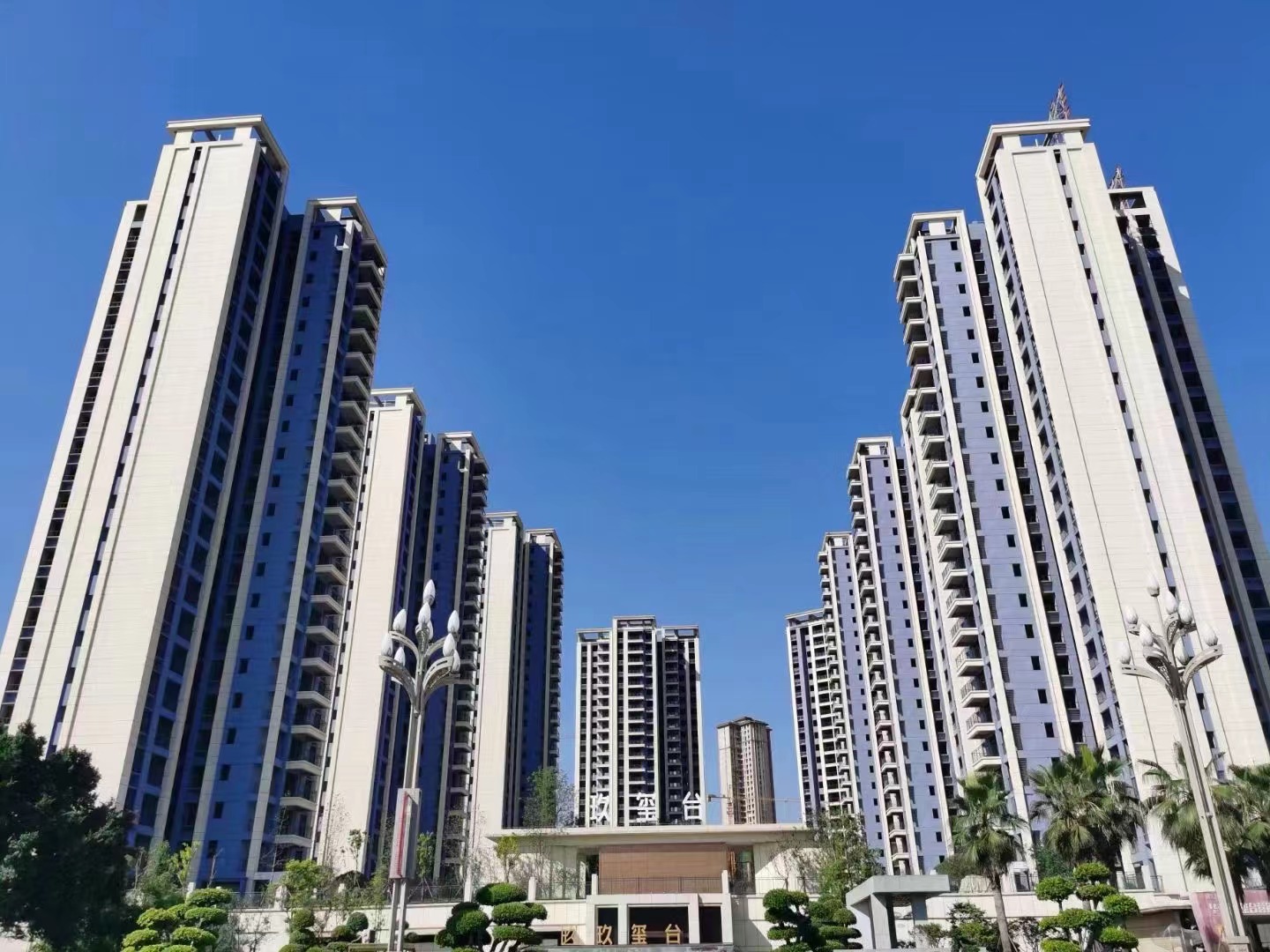 实景图